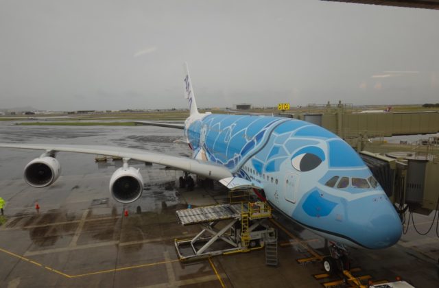 フライングホヌ 1号機