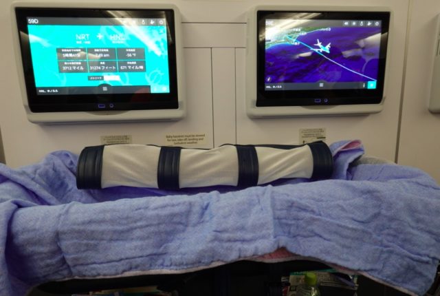 フライングホヌ 2号機で使用したバシネット
