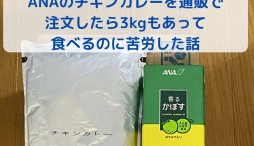 ANAのチキンカレーは3kg？3日続けてカレーを食べて完食！