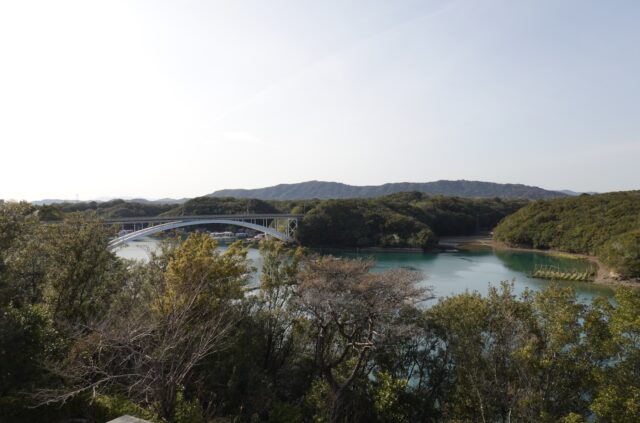 屋上展望台からの景色