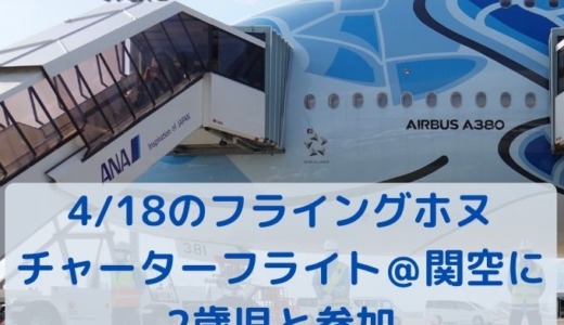 フライングホヌチャーターフライト＠関空に2歳児と参加。プレエコは席が広くて快適